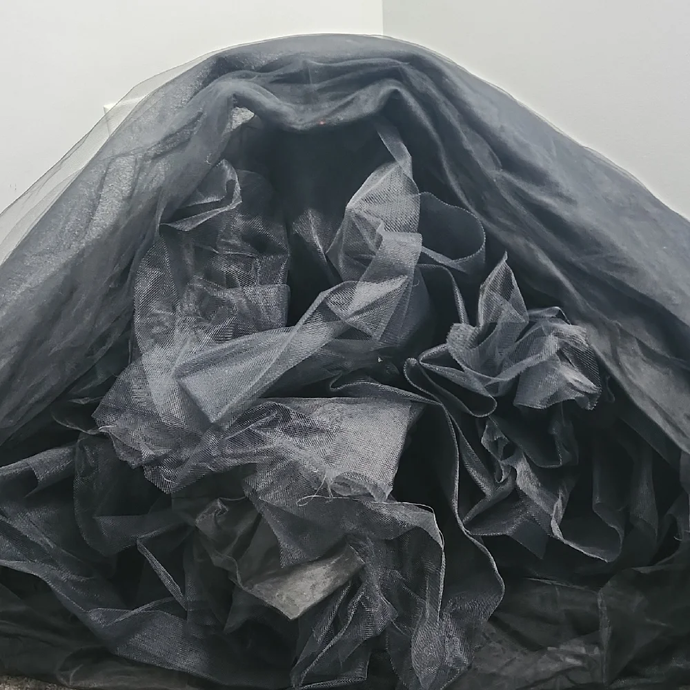 Carmela Sutera Black Ball Gown